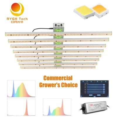 Rygh-Bz1000 Vertical Farming Full Spectrum Waterproof LED Grow Lights 10 Bar 1000W for Indoor Plants Veg