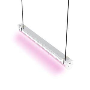 Linkable LED Tri-Proof Light Mini Size5 Years Warranty LED R&oslash; R