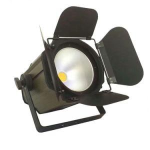 High Power Cast Aluminum Warm White or Cool White Zoom 200W COB LED PAR Light with Baffle