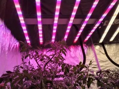 Growlight UV IR Veg Indoor Plant Full Spectrum Greenhouse Hydroponic 1000W Full Spectrum and Red Blue Ratio LED Grow Light