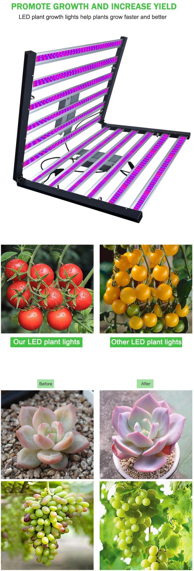 Hydroponi Full Spectrum 480W LED Grow Lights ETL Listed IP65 Waterproof LED_Grow_Light_1000W