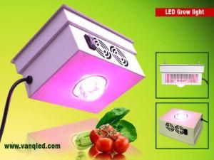 COB LED Grow Light Full Spectrum 150W