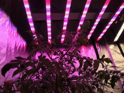 ATA Best 2020 Grow Light Bar 1000W Garden Greenhouses for Replace Gavita LED