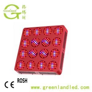 Wholesale Aluminum Alloy High Power 1600W LED Grow Light for Green House