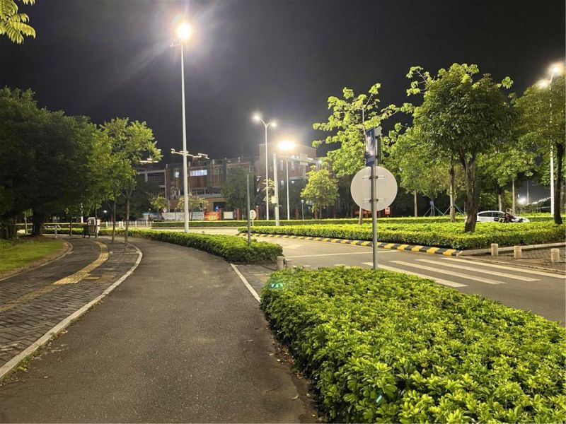 IP65 LED Portable Temporary Stringer Working Floodlight 80W 100W 150W High Bright Water Proof Planting LED Floodlights 50W 100W Flood Light