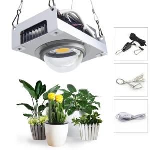 High PAR 100W COB LED Grow Light Cxb3590 Growing LED Light for Plant Growth