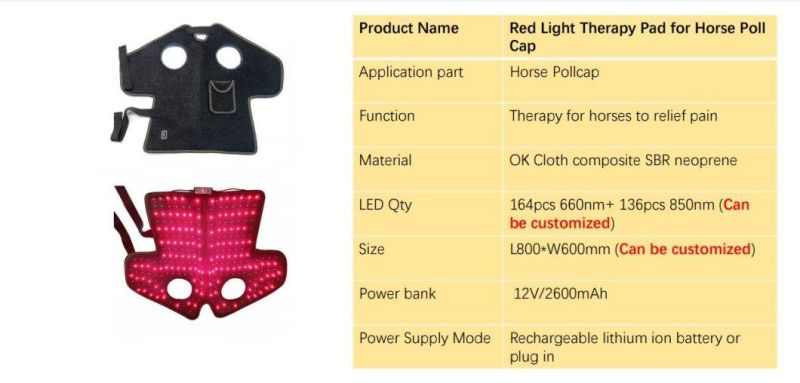 LED Red Light Therapy Equine Poll Cap Red Light Therapy