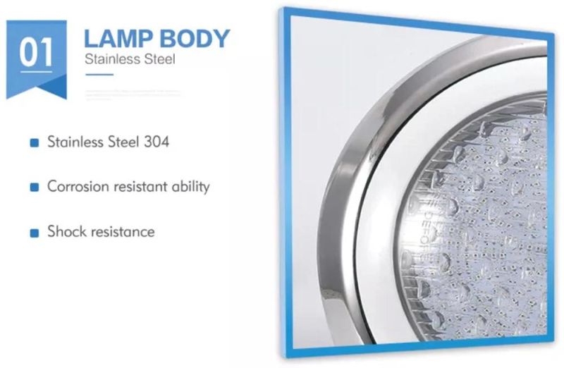 Swimming Pool Light 12W Wall-Mounted 12V AC IP68 Waterproof LED Underwater Pool Light RGB LED Swimming Pool Lighting Stainless Steel