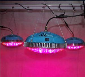 Grown Plants Lighting Hydroponically 90W UFO LED Grow Lights