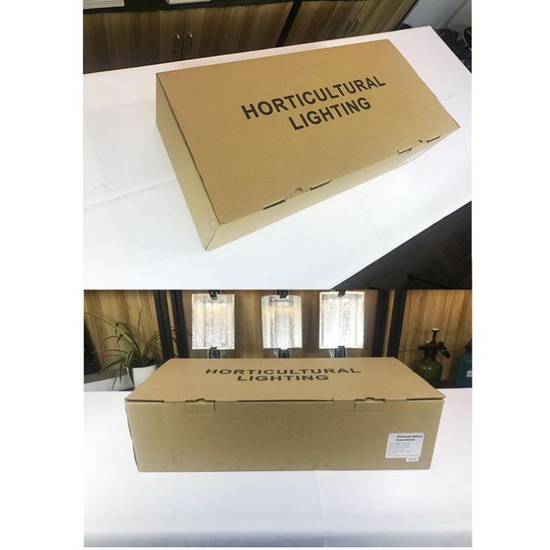 Hot Selling Wholesale 630W 1000W CMH Hydroponic Grow System Indoor Double End HID Plant Grow Light
