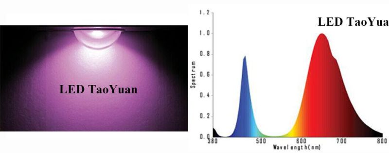 LED Grow Lamp Full Spectrum 380-840nm 200W Plant LED Light