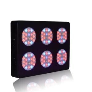 Newest Designed Hydroponic Equipmet Znet Series LED Grow Light 2014 Popular Designer Goods