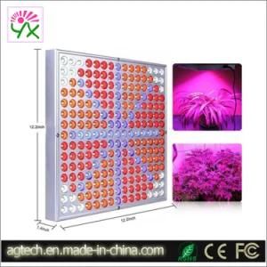 LED Grow Light Panel 14W for Lettuce, Tomatoes, Kiwi Fruit Grow