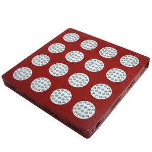 Blue and Red Full Spectrum Hydroponics Hot Sale 600W LED Grow Light