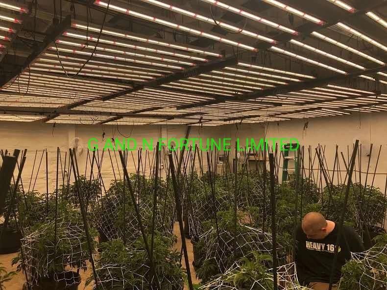 Commercial Horticulture Cultivation 720 W LED Grow Light Bar