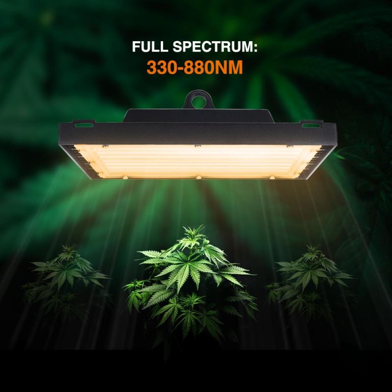 Indoor Quantum Horticulture Lamp Growing Plant Lighting Board Power Used High Quality Full Spectrum PAR Shenzhen Large Wholesale Panel LED Grow Light