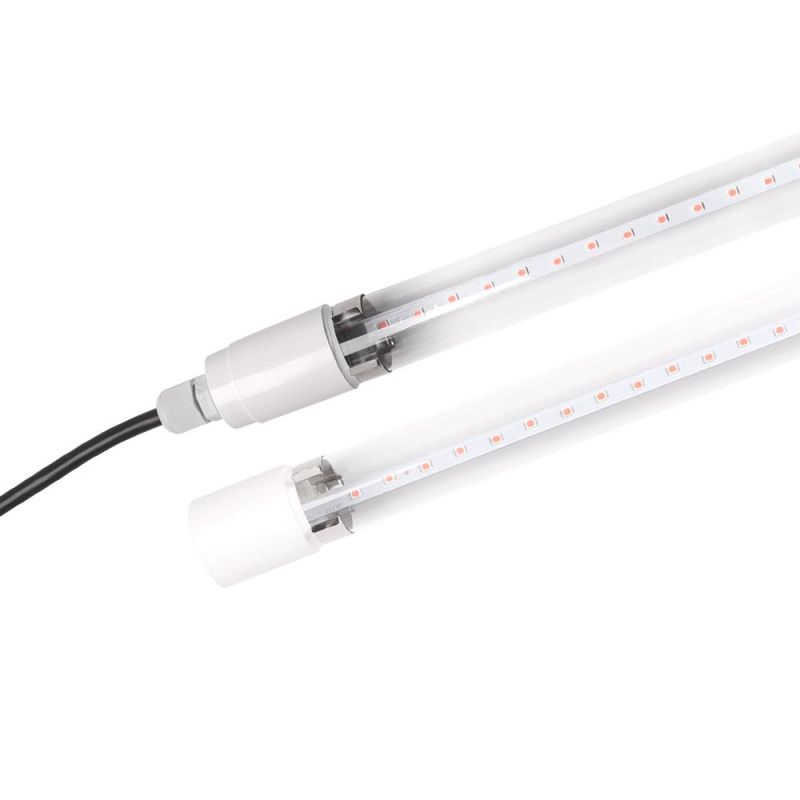 Lighting Factory for IP65 T8 LED Tube Light with Quick Delivery