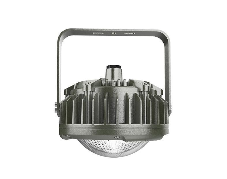50W 60W 120W 150W 180W LED Explosion Proof Pendant Area Light for Zone 1 Zone 2 Gas and Oil