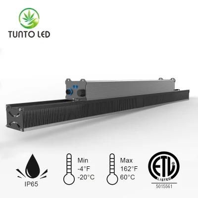 540W Full Spectrum High Ppfd 2.8umol/J Dimmable Flowering LED Grow Light in Greenhouse