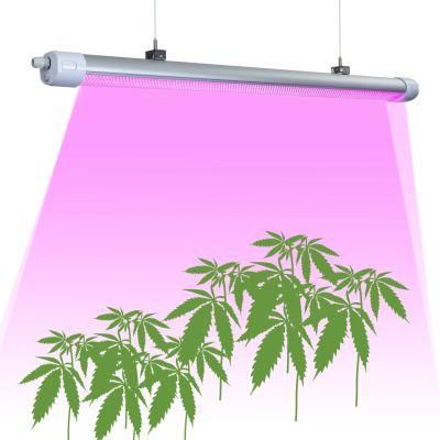 160lm/W Best High Efficacy Grow Lights LED Grow Lights for Growing Plants Pink Spectrum 50W/150W/200W