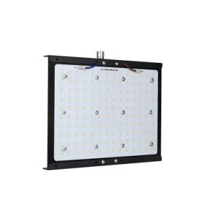 Newest The Best Quantum Full Spectrum Board 100W LED Grow Light Reflector Samsung Lm301b Light