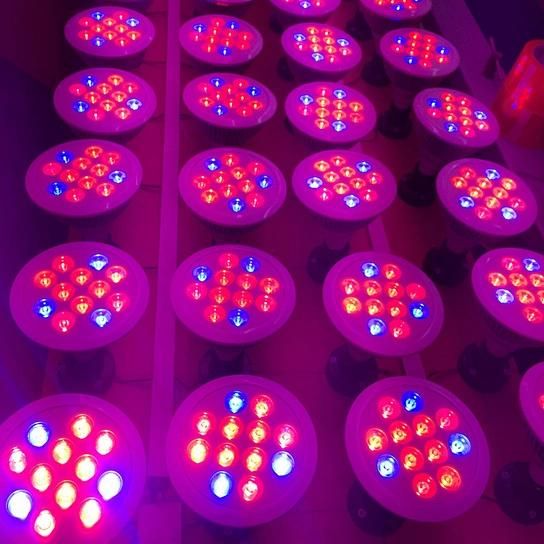 Vegetables/Flowers/Bloom/Hydroponics 12W E27 LED Grow Light