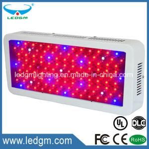 100-110W Rectangle LED Grow Light Greenhouse Light Seeding