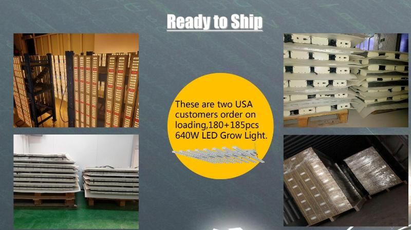 Lumin High Efficacy 600W Indoor LED Grow Light Offer Full Spectrum for Greenhouse