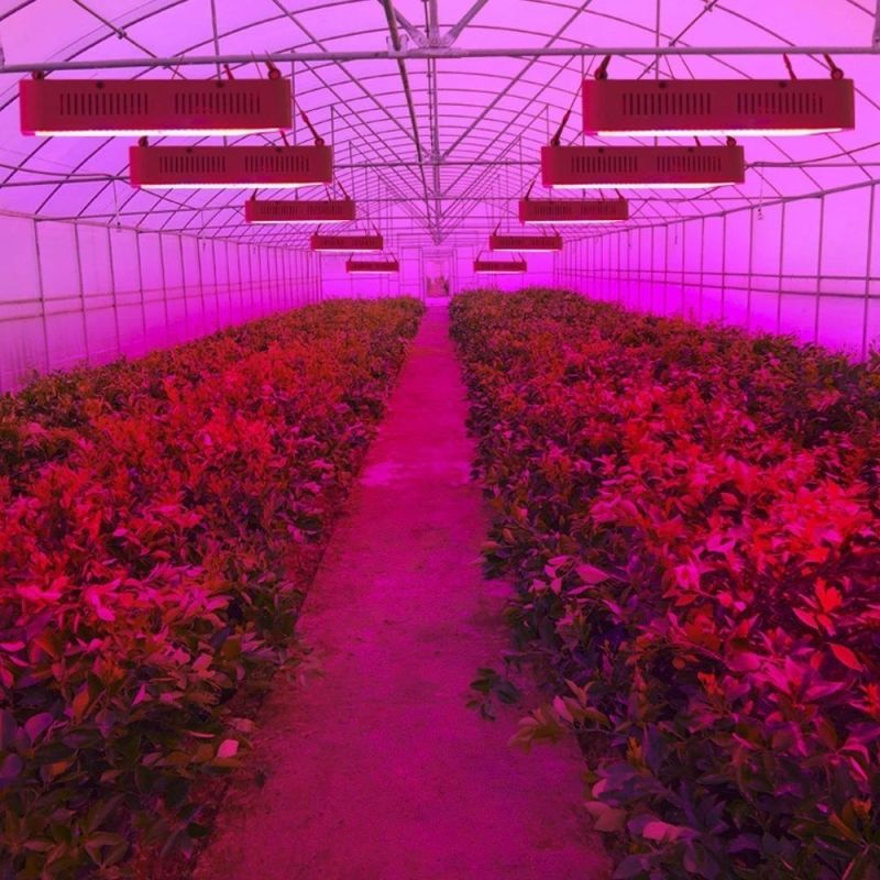 Full Spectrum Waterproof LED Grow Lights IP65 for Seedlings 224W