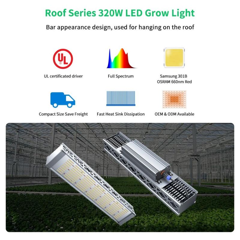 Hydroponic Indoor Plants Lighting Samsung Lm301b 320W 680W LED Grow Light for Germination Veg Flowering Blooming