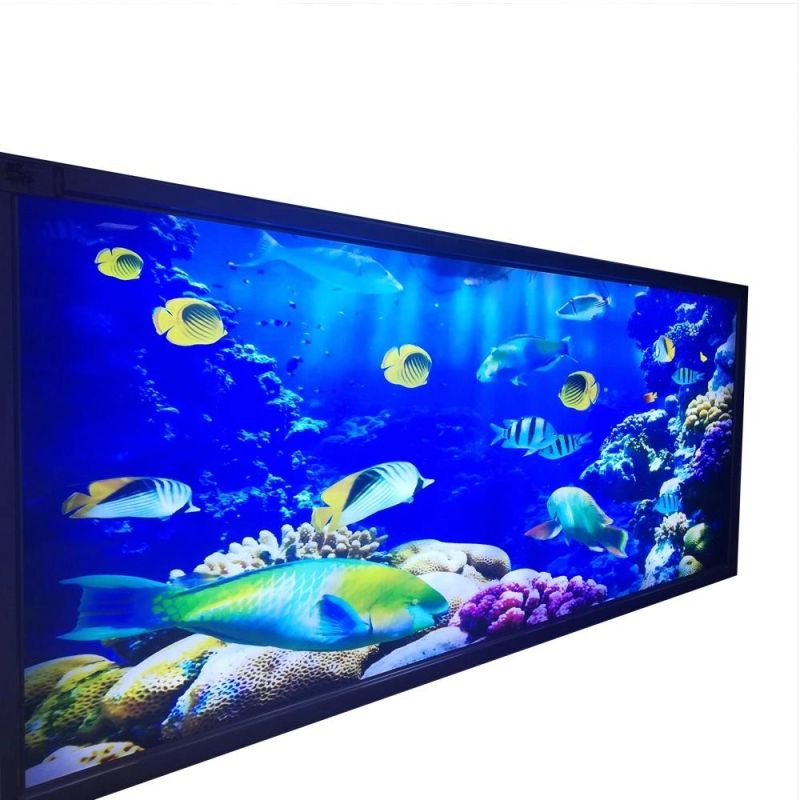 Customized Snap Aluminium Frame Advertising LED Light Box