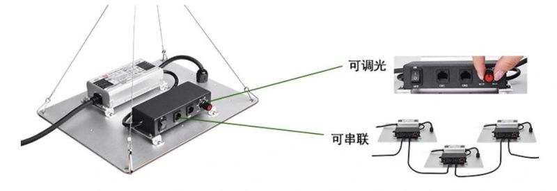 Lumin 100W 200W 400W 600W Hydroponic Quantum Board Lights Sulight Full Spectrum LED Grow Light