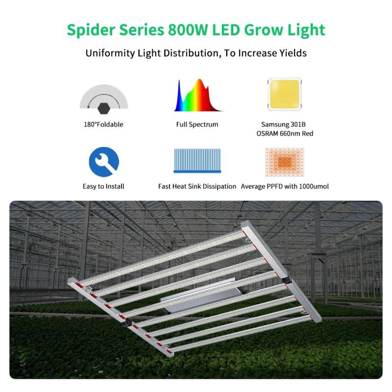 Hydroponics Wholesale LED Grow Light 800W 1000W Full Spectrum Samsung LED for Grow