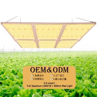 Bonfire 600W LED Panel Grow Lighting with UL Certification for Farm Greenhouse