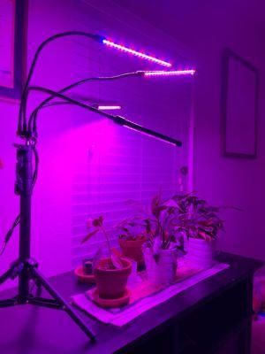 Wholesale Samsung Lm301h Shenzhen Strip Liftable 4 Head Garden Flower 24W LED Grow Lights