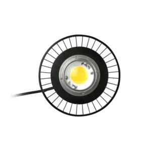 Wholesale 100W Greenhouse CREE Cxb3590 3500K Lights COB LED Grow Light