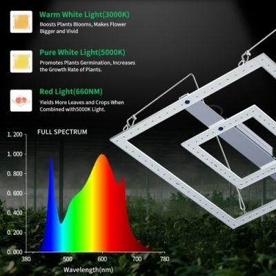 Hotselling Vertical Farmer Cultivation 600W 1000 Watt Full Spectrum LED Grow Lamp for Indoor Plants Veg Flowering