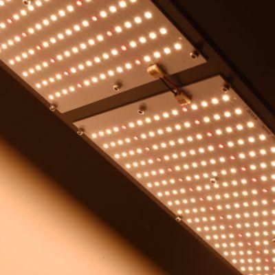 Red 660nm Sam-Sung Lm301b Full Spectrum LED Grow Lighting Indoor