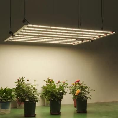 Ilummini 640W LED Light for Plant Grow