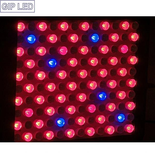 Gip High Power LED Grow Light 600W with 5W LED Chips