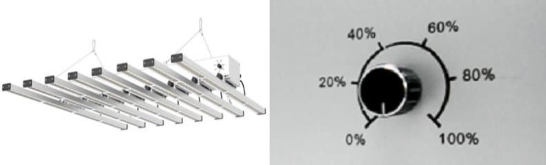 Full Spectrum Houseplant 400W 640W 800W LED Grow Light