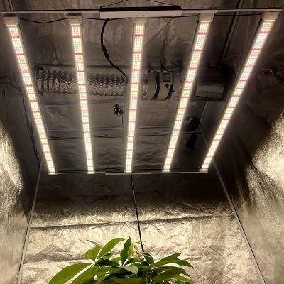 2021 The Best New Arrival Factory Price Fluens Plant Light Spectrum LED Grow Light