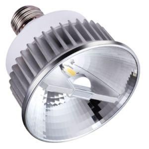 6W LED PAR Light (RL-LB203)