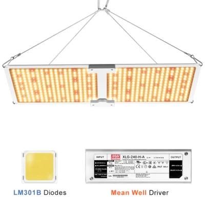 200W IP65 Hot Selling LED Growth Light with UL Certifition in The Greenhourse