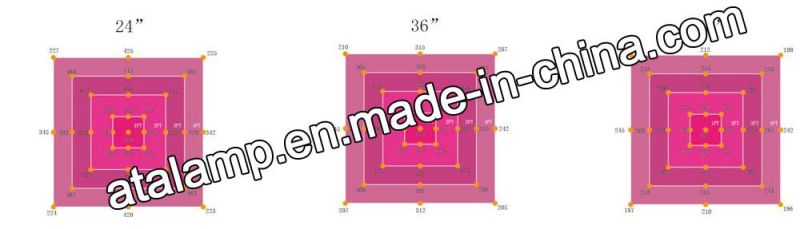 2019 Shenzhen New Model Dual Chip 50W/75W/80W/100W/150W/300W/400W/450W/500W/600W/650W/700W/800W/900W/1000W/1200W/1500W LED Grow Light Full Spectrum LED Plant Li