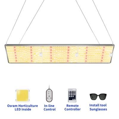 Hot Selling Indoor Farming Full Spectrum LED Quantum Board Grow Light for Medical Crops Vegetables Lettuce