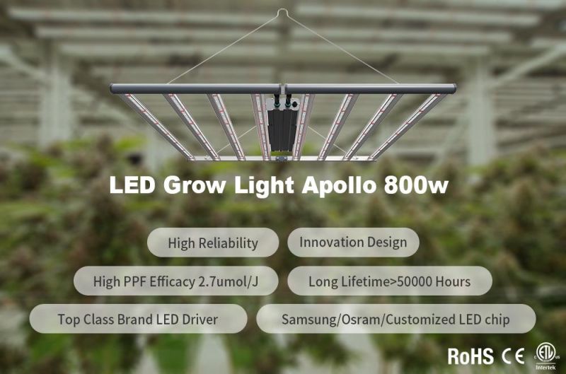 Lettuce Microgreens Hydro Growing Lamp Full Spectrum LED Grow Light for Indoor Plants Garden Growth