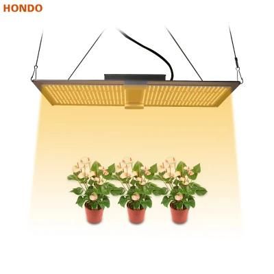 100W 200W 300W 400W 600W Hydroponic Quantum Board Lights Sulight Full Spectrum LED Grow Light