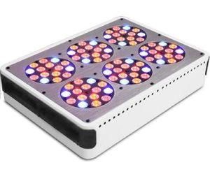 Ce RoHS High Power Full Spectrum 360W LED Grow Light