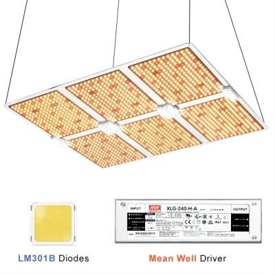 600W LED Grow Panel Lights Red for Indoor Farm Greenhouse UL Certificate